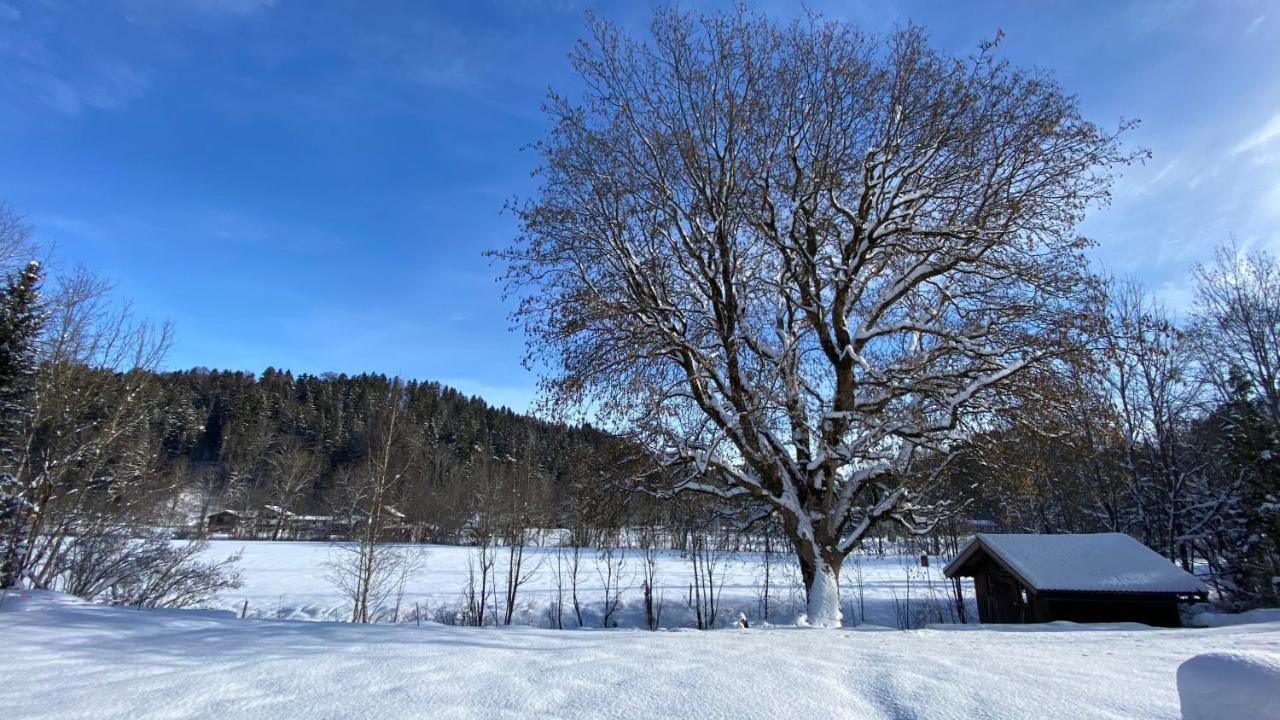 Pure Nature Munich - Alps Fischbachau Exteriör bild